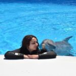 Nuotare con i delfini, esperienza unica